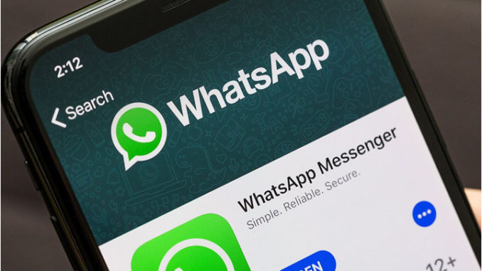 How to vote on WhatsApp